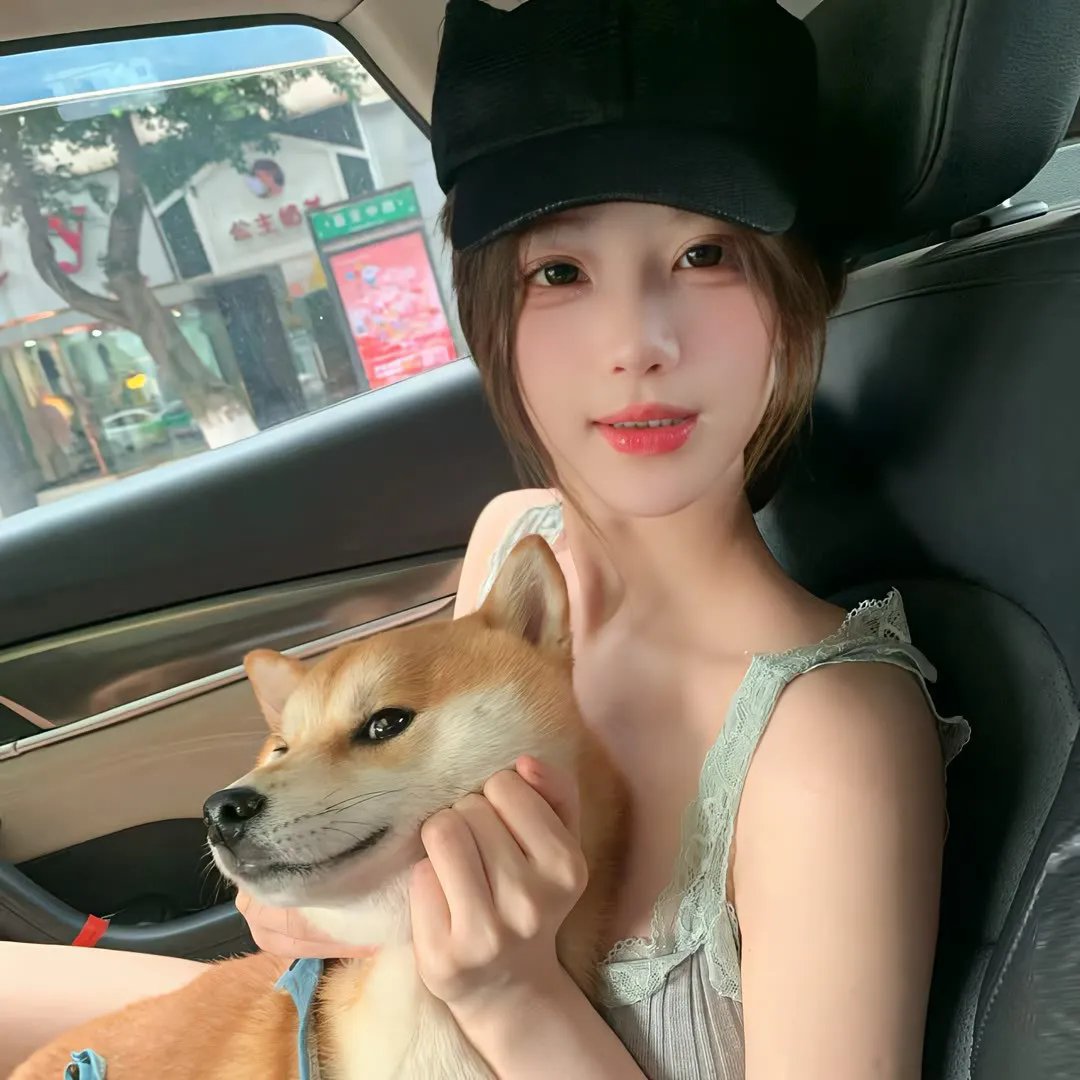 灵通汪星人